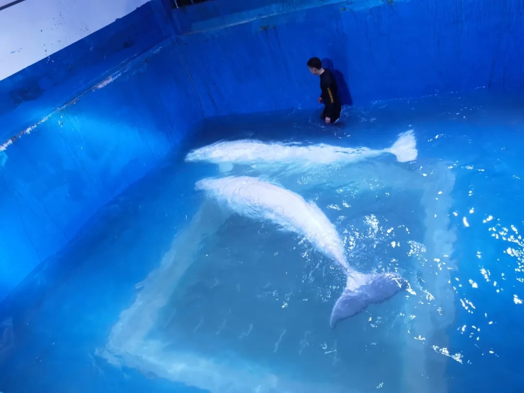 微信圖片_2021051408504413.jpg 微信圖片_2021051408504413.jpg