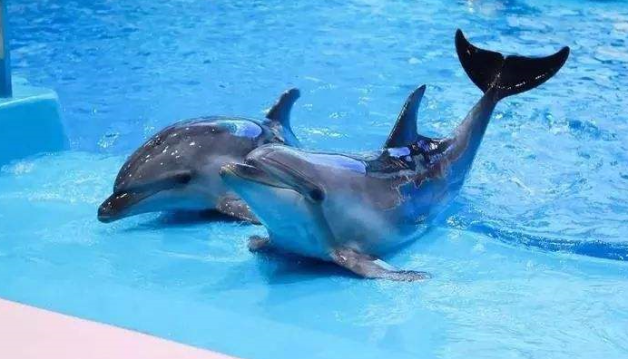 微信圖片_20210514091125.png 微信圖片_20210514091125.png